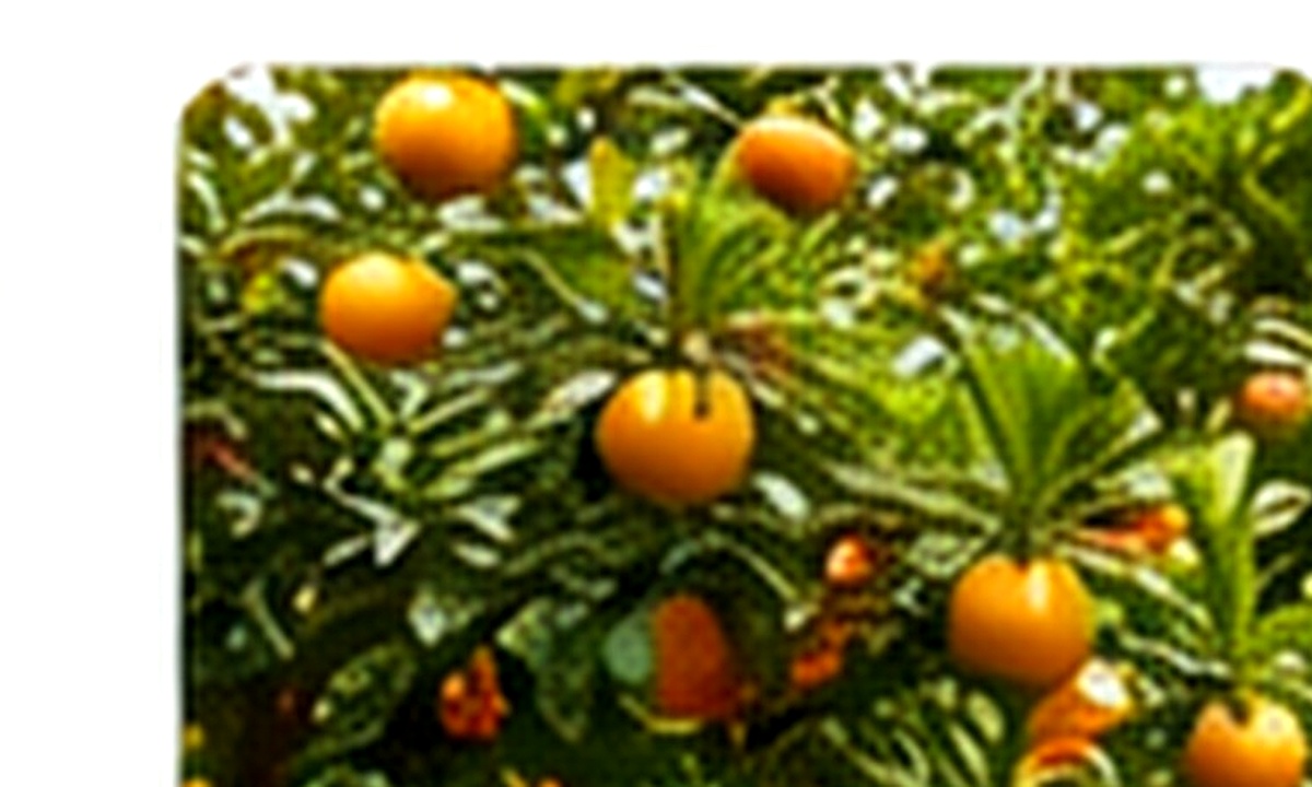 Horticulture