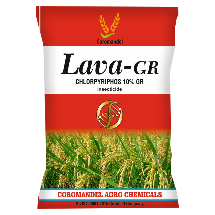 LAVA GR