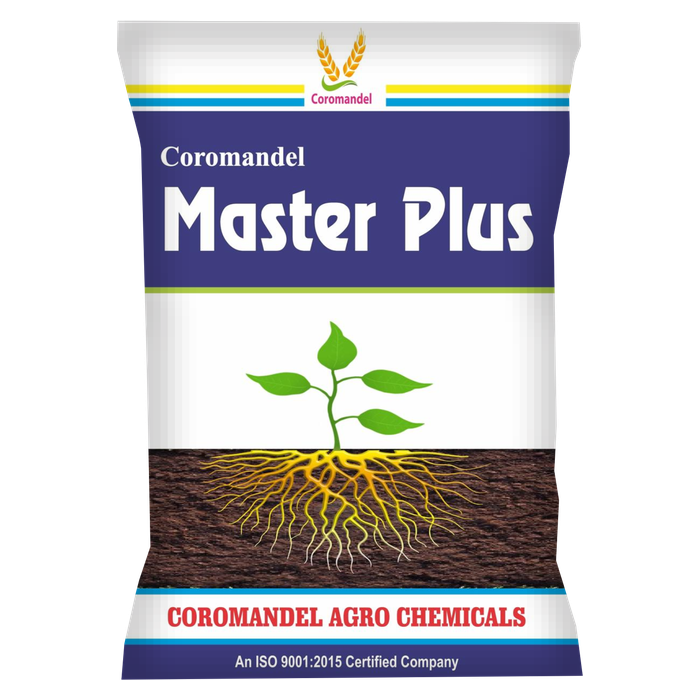MASTER PLUS