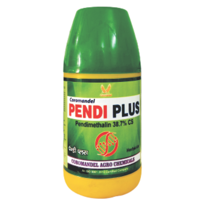 PENDI PLUS