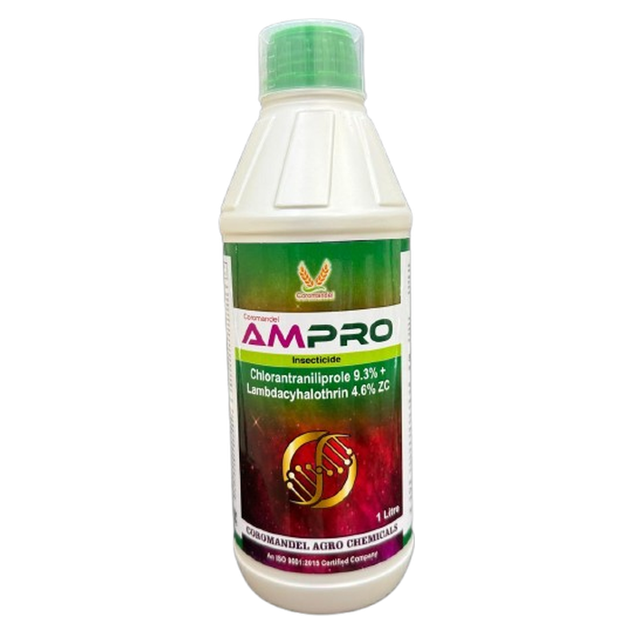 AMPRO