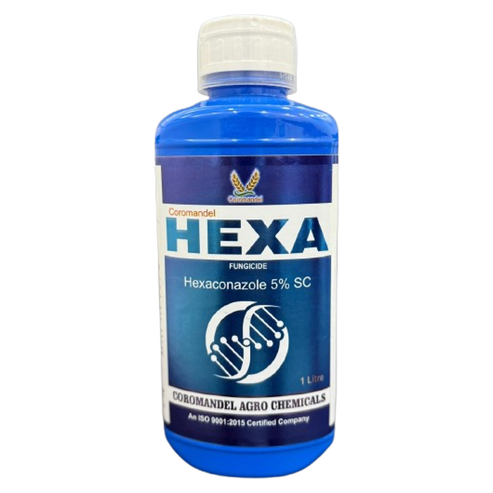 HEXA