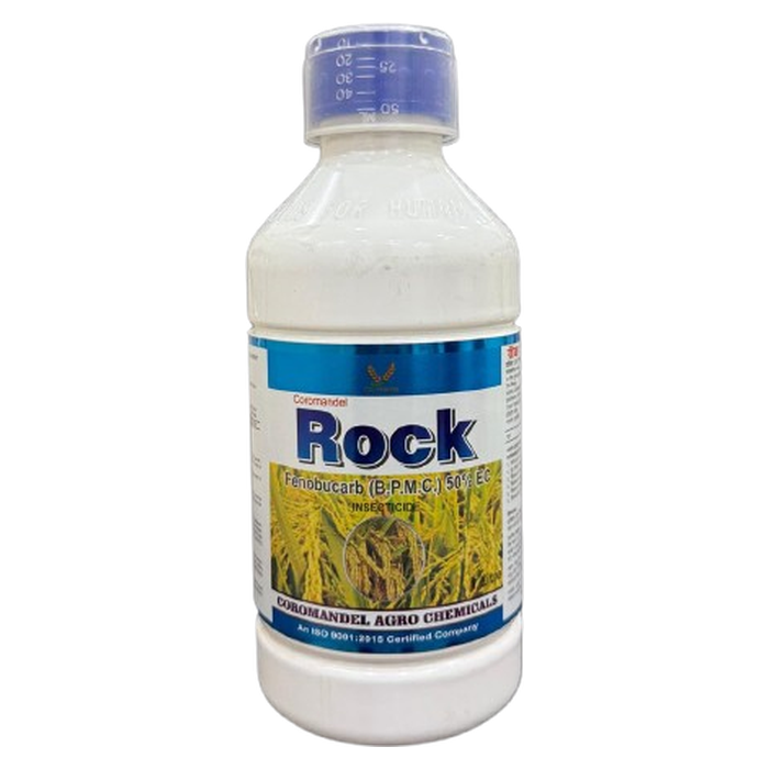 ROCK
