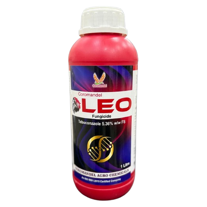 LEO