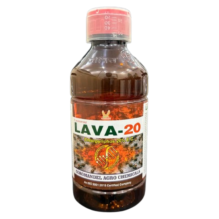 LAVA-20