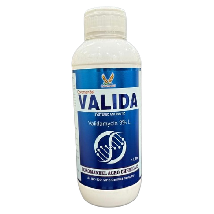 VALIDA