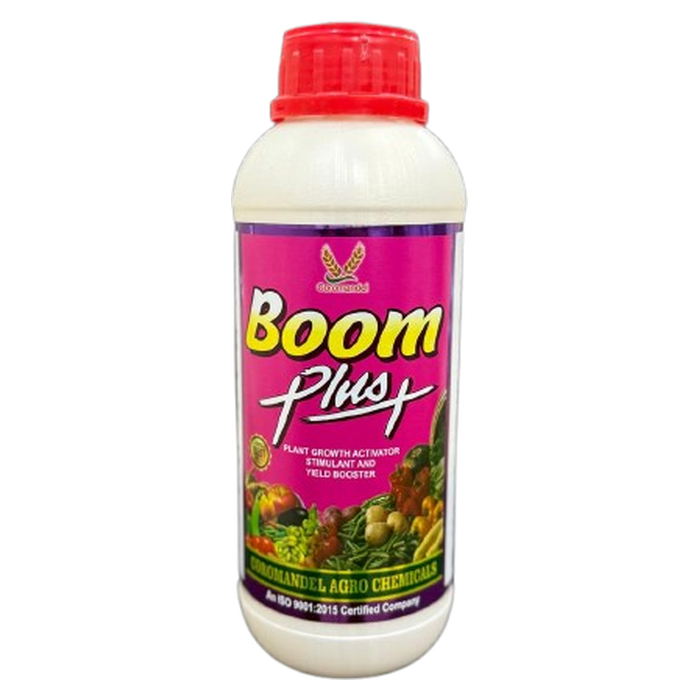 BOOM PLUS