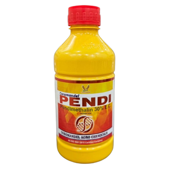 PENDI