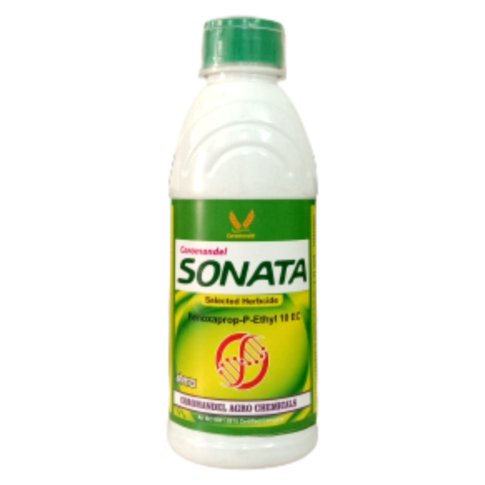 SONATA